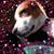 Esther Morrell's profile image