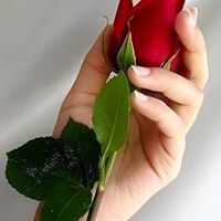 Noor Khan's profile image