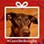 Shawna Hoemmelmeyer Laverty's profile image
