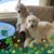 Barb Lean Trotta's profile image