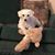 Iris Ortiz Kerwin's profile image