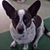 Susan Pritchard Irwin's profile image