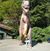 Ashlee Houghton's profile image