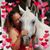 Ania Ake's profile image