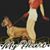 Lynn Ferrara's profile image