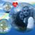 Lesa Myers's profile image