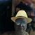 Tim Fay's profile image