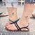 Susan Pokorny's profile image
