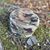 Jennifer Pucci's profile image