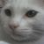 Benjamin Wang's profile image