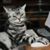 Meg Duell's profile image