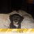 Sharon Cochran Cepak's profile image