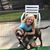 Carole Kirchner's profile image