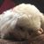 Sue Wells's profile image