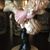 Janis Divoll Humphries's profile image