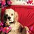 Jolene Kirsch's profile image
