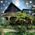Debb Antona Donham's profile image