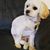 Wilma Farmer's profile image