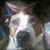 Shannon Rothemeyer's profile image