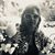 Christine Macedonio's profile image