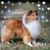 Vicki Weis's profile image