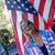 Patti Breeze McDonald's profile image