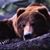 Rebecca D. Delgado McCullough's profile image