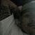 Christopher A Placencio's profile image