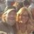 Lori Rawlins's profile image