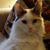 Susan Kobak's profile image