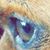 Michelle Marie's profile image