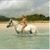 Leslie Cruguet's profile image