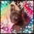 Jennifer Lynn's profile image