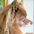 Reue Shannon's profile image
