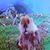 Ken Hommel's profile image