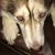 Marla Morris's profile image