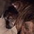 Stu Hursin's profile image