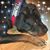 Linda Billings's profile image