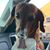 Debi Day-Mcgehee's profile image