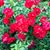 Karin Gilley's profile image