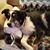 Carolyn Wood's profile image