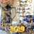 Kimberly Ross Clark's profile image
