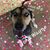 Katie Leigh Stall's profile image