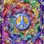 Shelly Anderson's profile image
