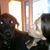 Lorrie Rendle's profile image