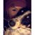 Taylor Shifflett's profile image