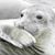 Dave Stevens's profile image