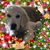 Rhonda Boyd's profile image