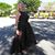 Helen Prakelt Bishop's profile image