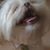 MariaElena Arevalo's profile image
